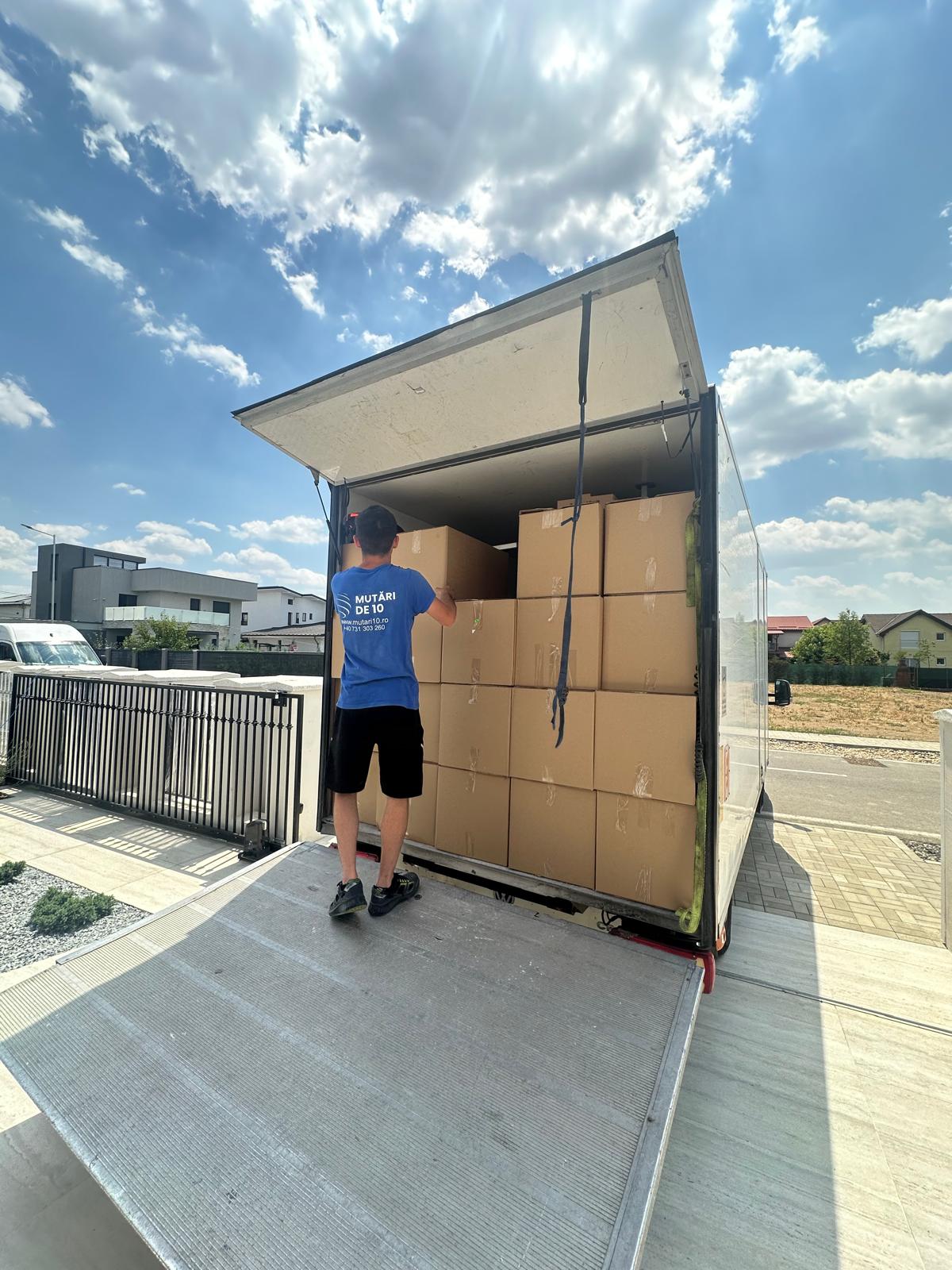 transport mobila timisoara mutari de 10 (8)